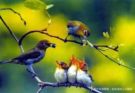 《爱是一种能量,是可以传递的能量》