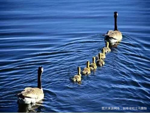 《爱是一种能量,是可以传递的能量》