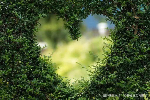 【哥哥,谢谢你给我的爱】