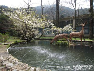 #我的家乡美景#不识庐山真面目,只缘身在此山中。