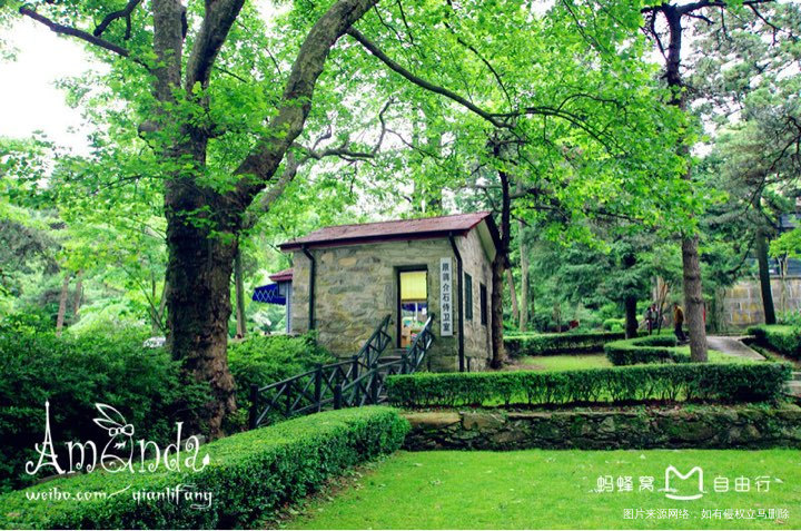 #我的家乡美景#不识庐山真面目,只缘身在此山中。