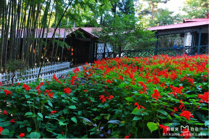 #我的家乡美景#不识庐山真面目,只缘身在此山中。