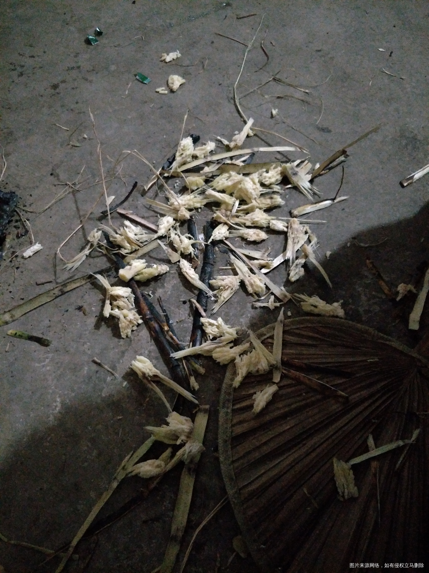 因为天气降温,一不小心就着道了,嗓子痒痒的,立马让婆婆烧了半根甘蔗,舒服多了,甘...