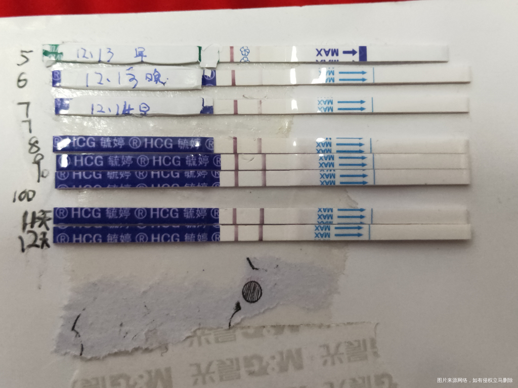 12.7移植的姐妹进来聊聊