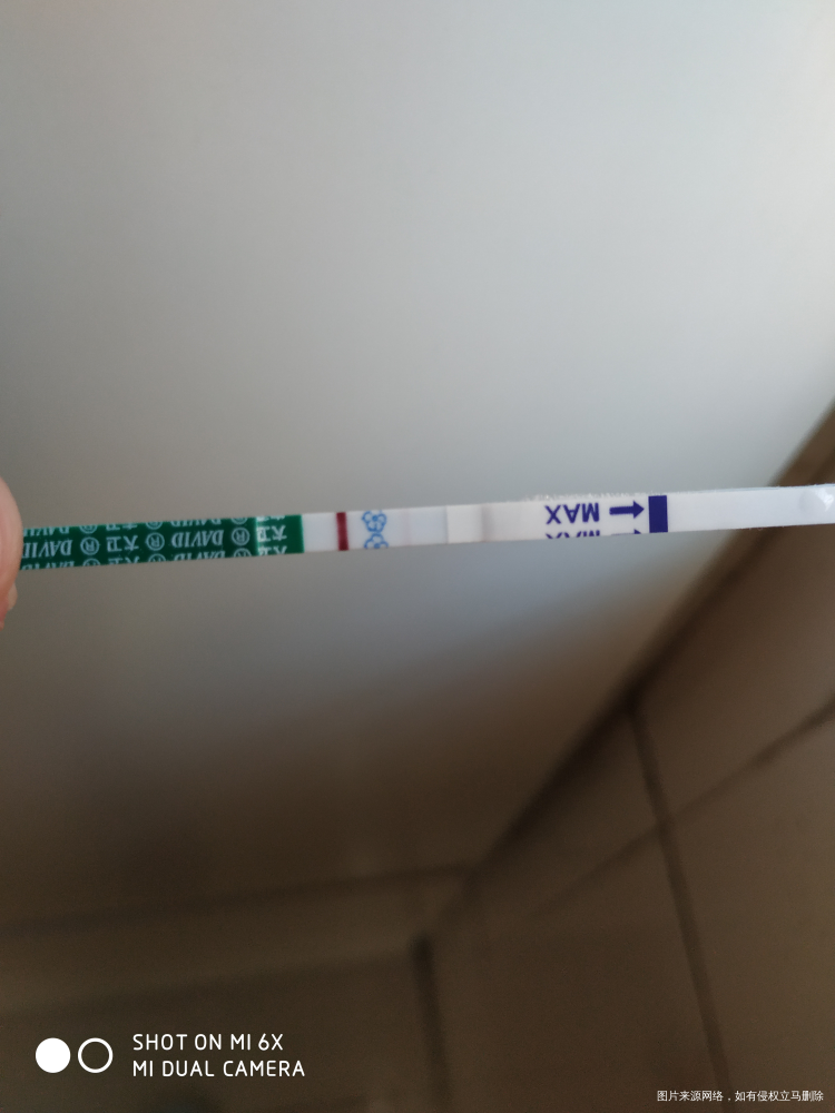 24号打完最后一针绒促,今天是移植后第八天,测了试纸,不确定准不准,刚开始是白板...