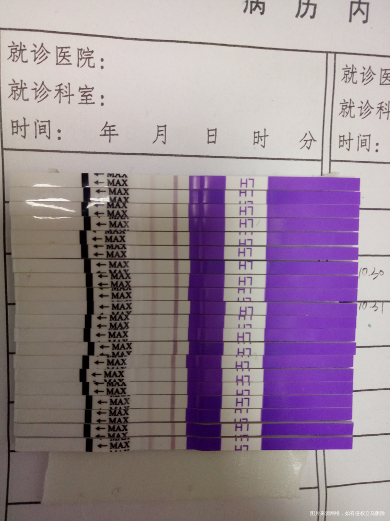 各位大神,请问这个排卵没有,还要不要继续检测?
