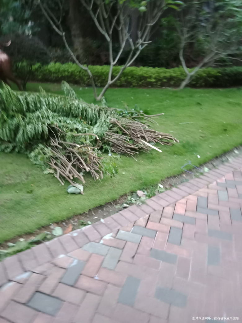 “山竹”过后景象,早上上班看见物业人员在清理