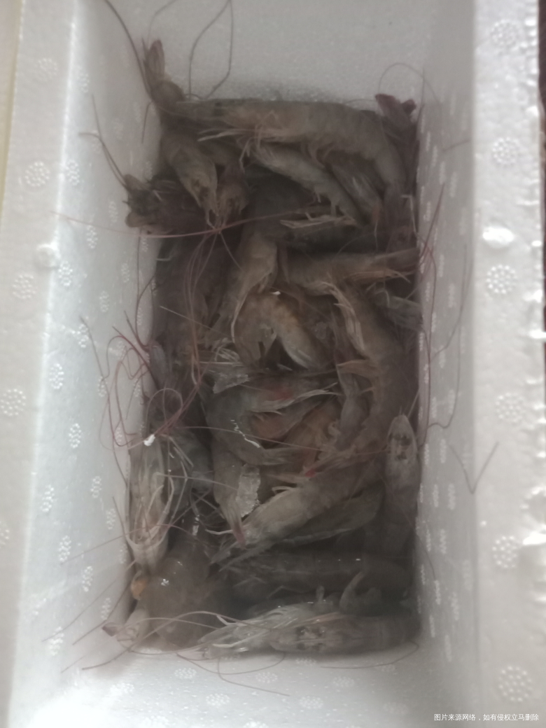 老姐又给的虾跟知了猴,可是