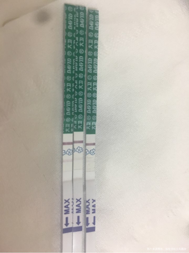 试管移植后第七天测出双杠,第十天逐渐明显