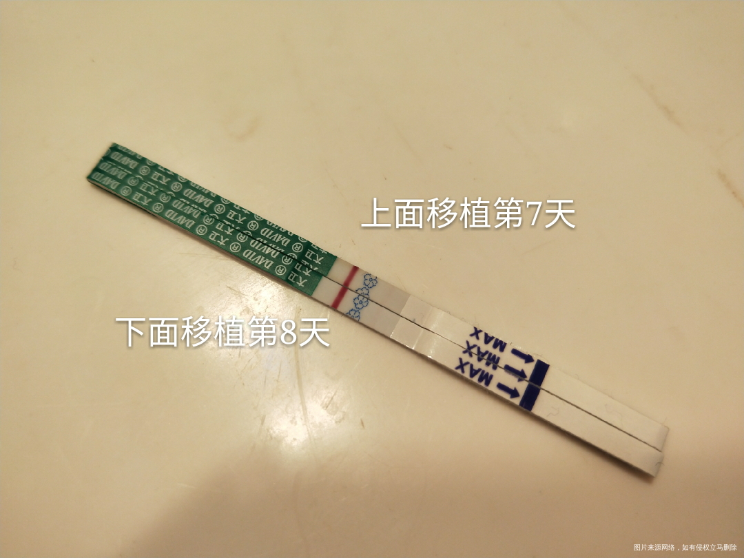 意念灰没有加深!会是咋呼吗?