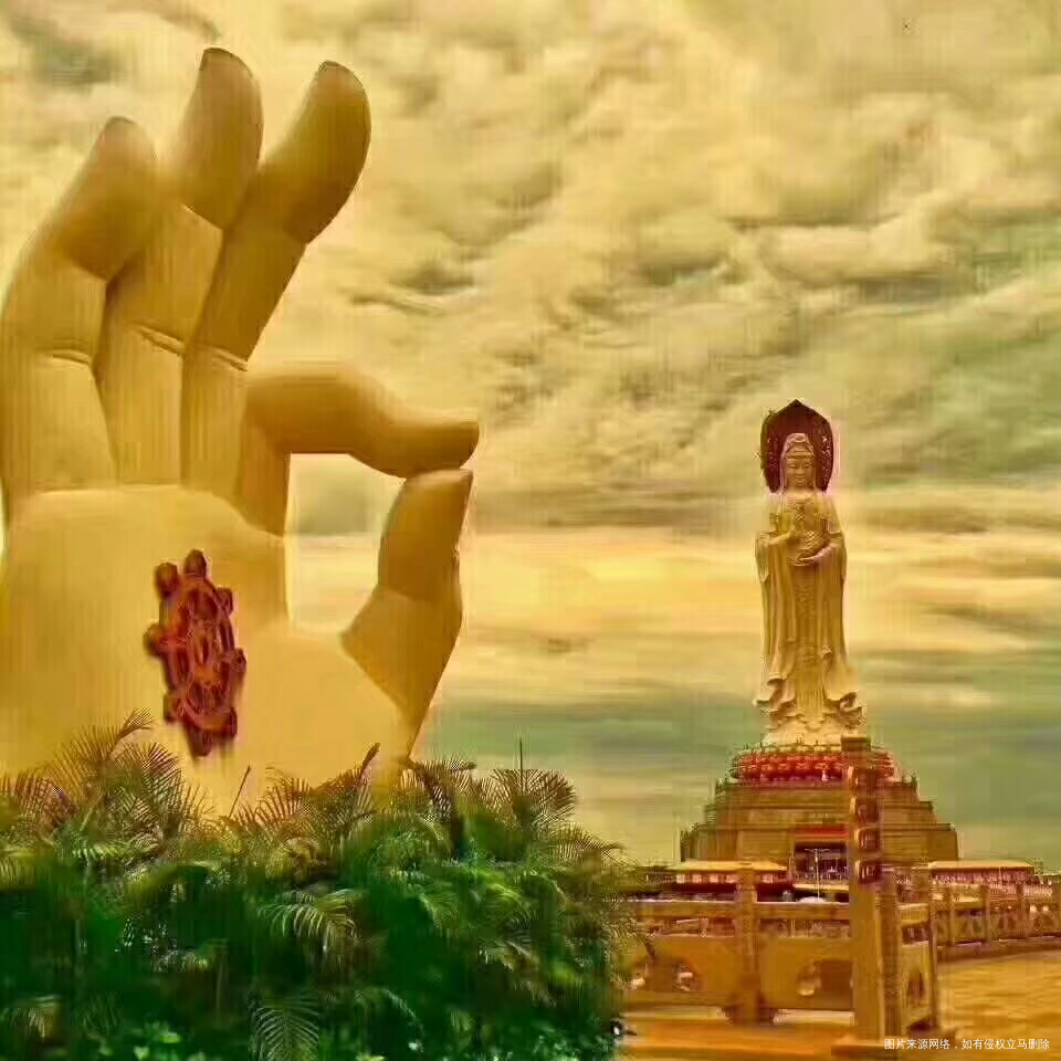 昨天晚上睡了一个梦,我抓了好多好多小鸟。