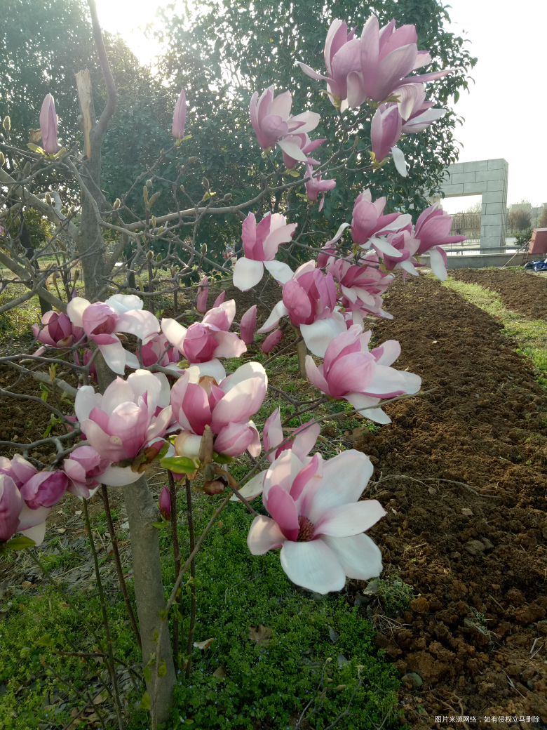 #我要吐槽#母乳喂养路杂那么难呢