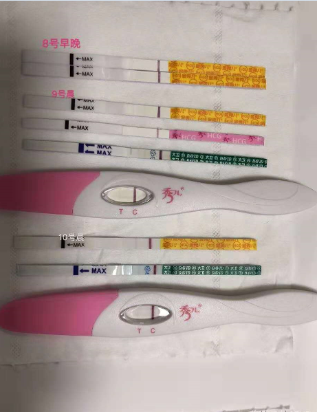 分享我多囊、闭经的好孕之路，幸福总在不经意之间