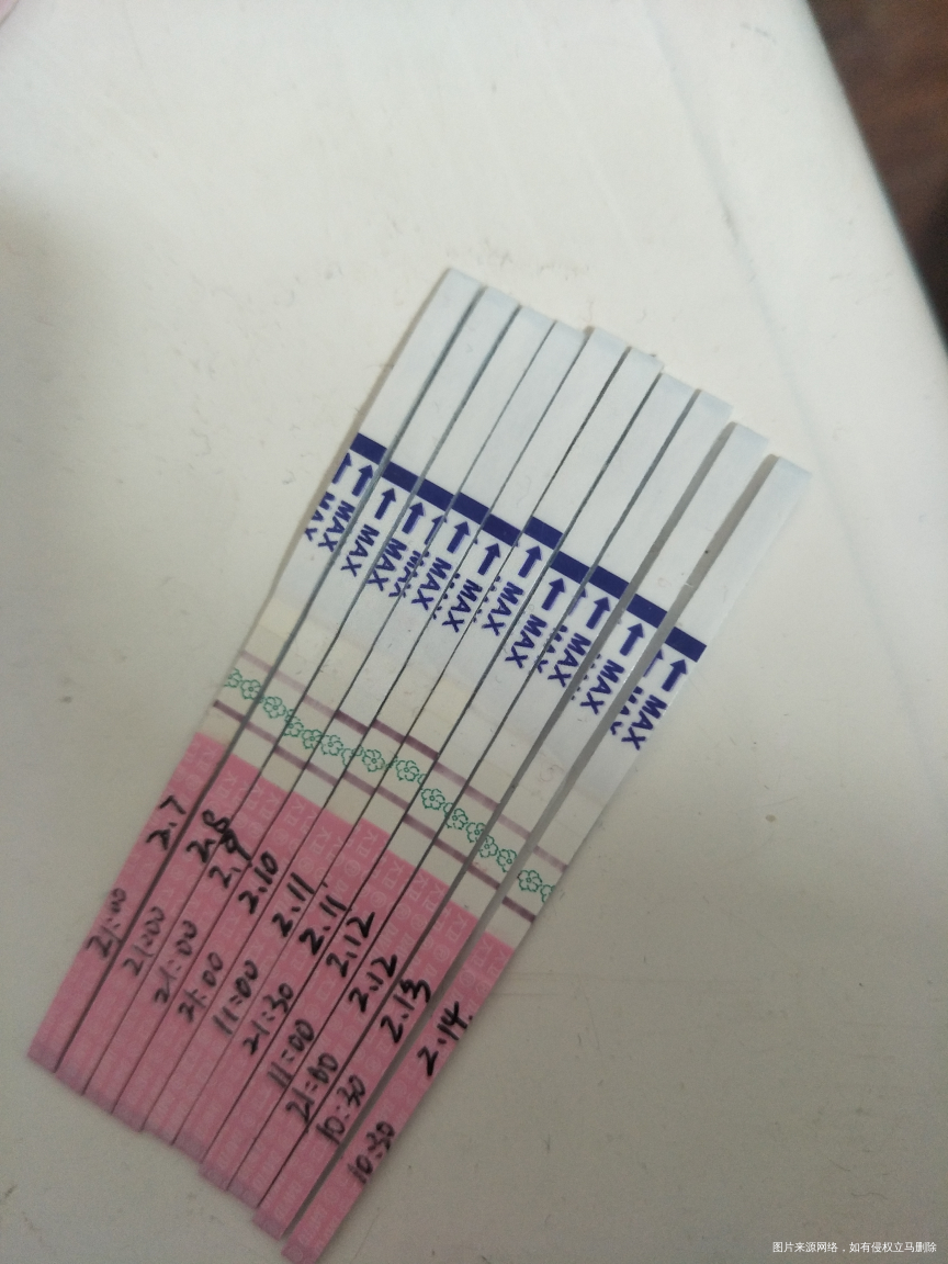 哪天排卵,帮我看看?
