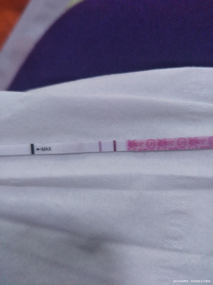 这是不是快排卵了?心好累啊