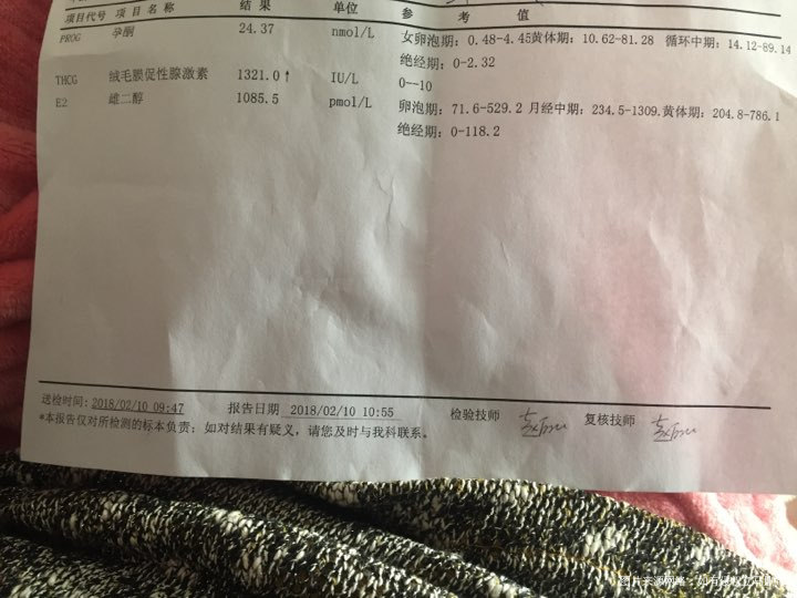 移植十四天的血值,27号移植的