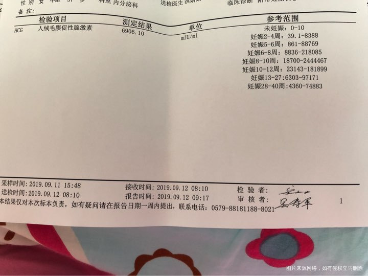 8.23鲜胚移植2个,下面是9.11的血