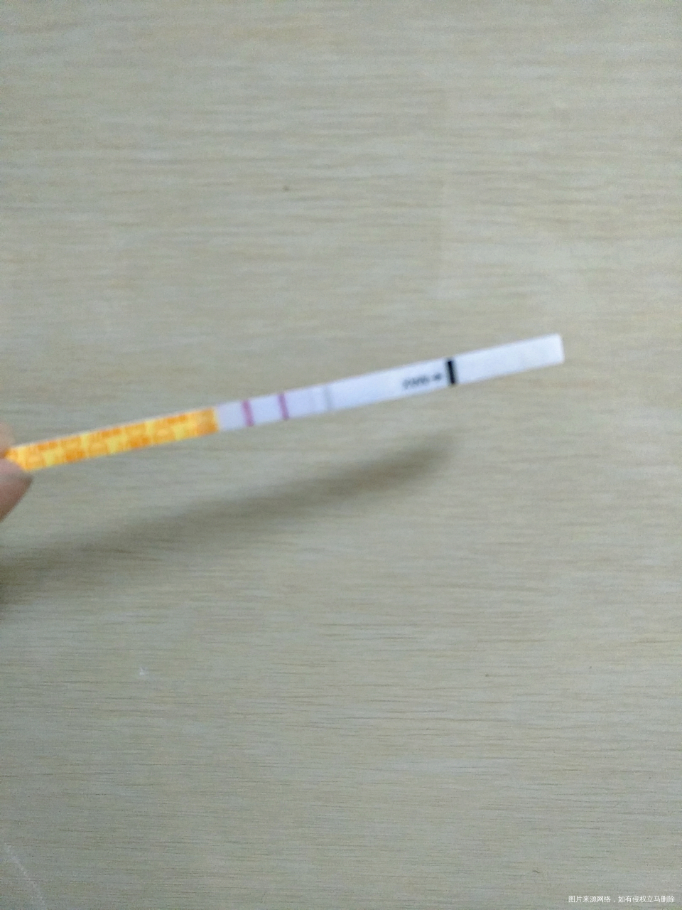 此时的心情是惊喜还是惊吓