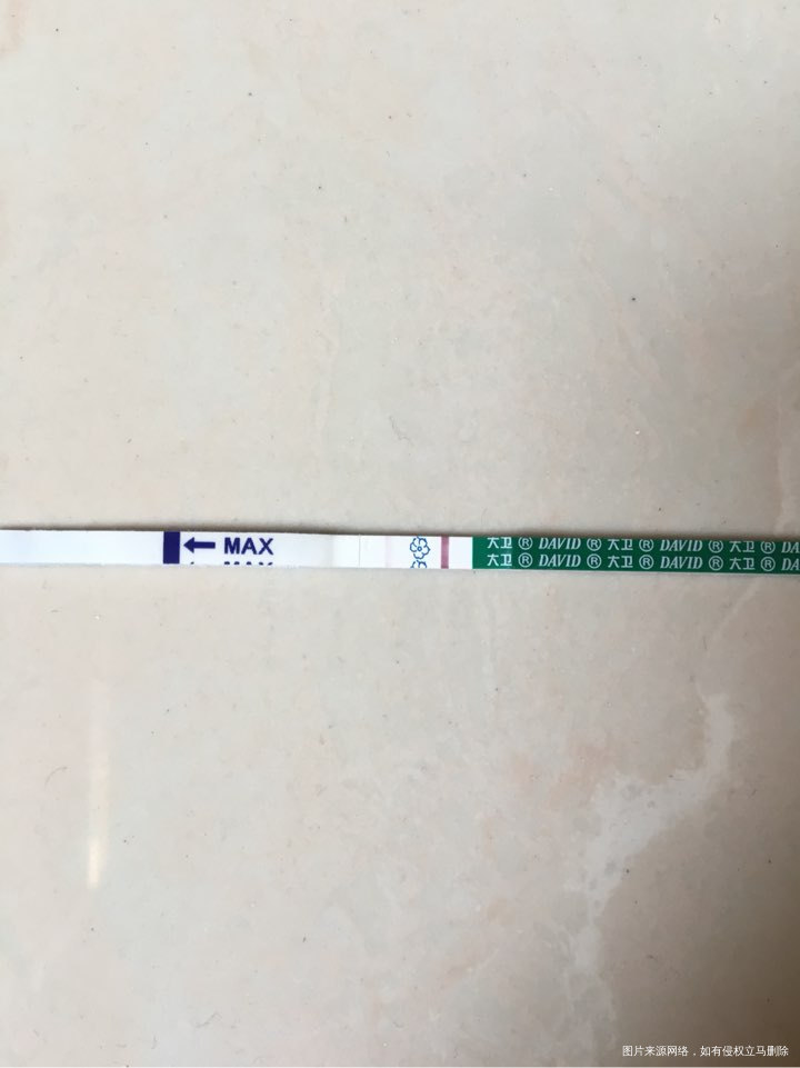 3月27日移植鲜胚,今天第十一天