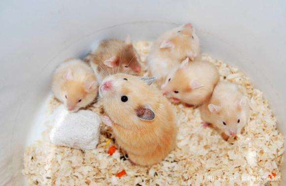 完美宝爸的漂亮故事~