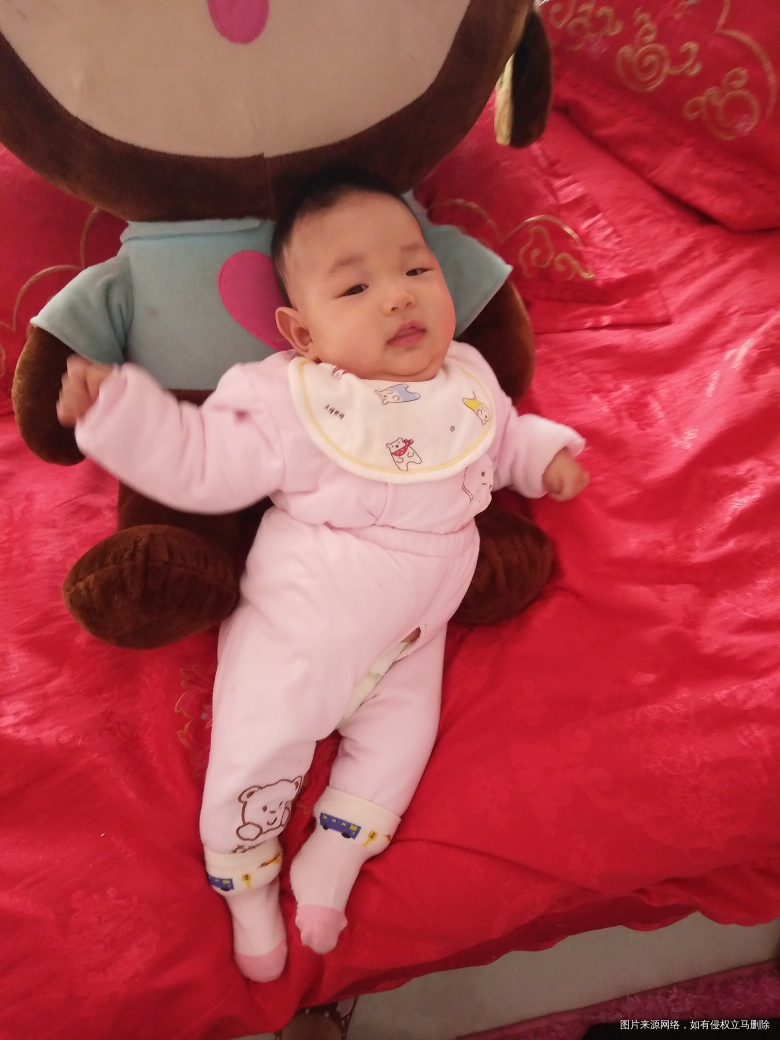 我的备孕经验——猴宝宝诞生