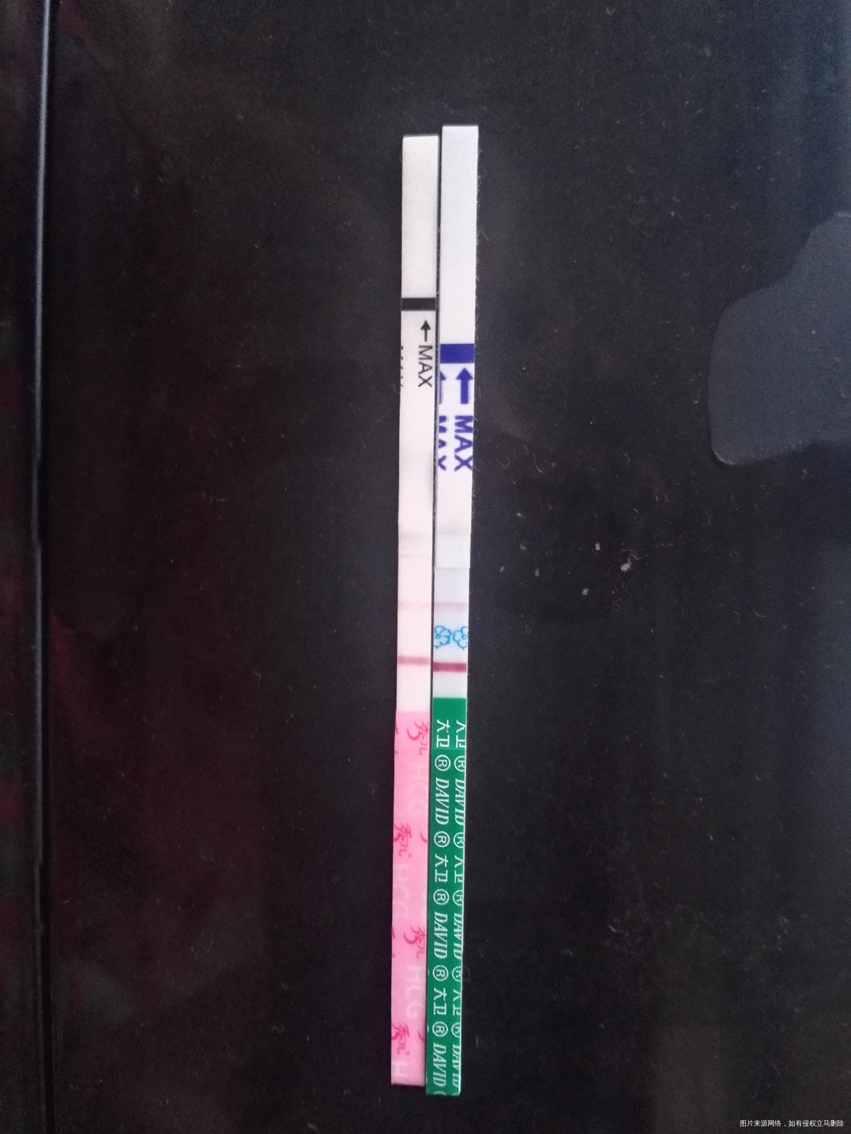 移植后第13天打卡,昨天晚上22:15入睡,00:50起夜一次,3:40醒来有点...