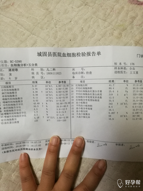 请问医生六岁的孩子腿上总是出现淤青 去查了血常规