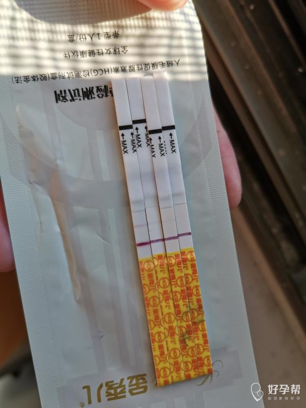听姐妹们说金秀儿半定量很好