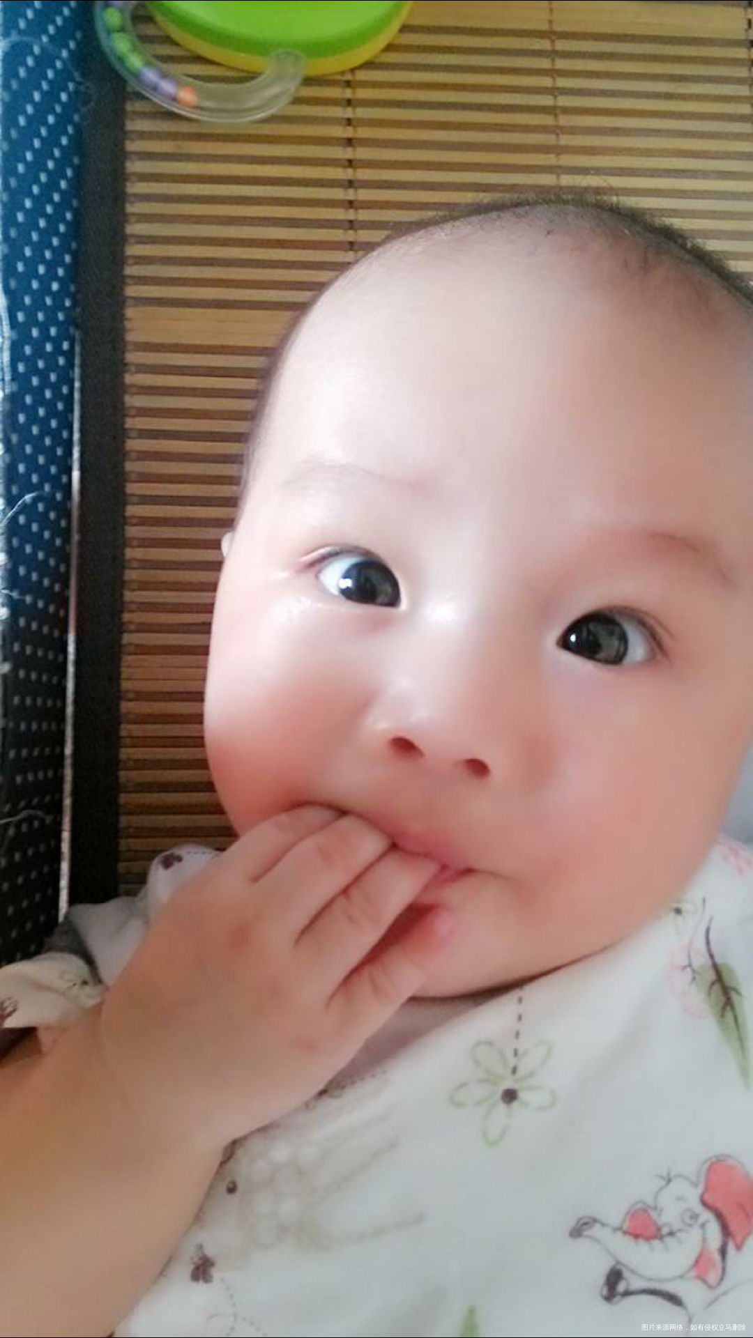 〔至大宝〕你是爸妈的天使与恶魔