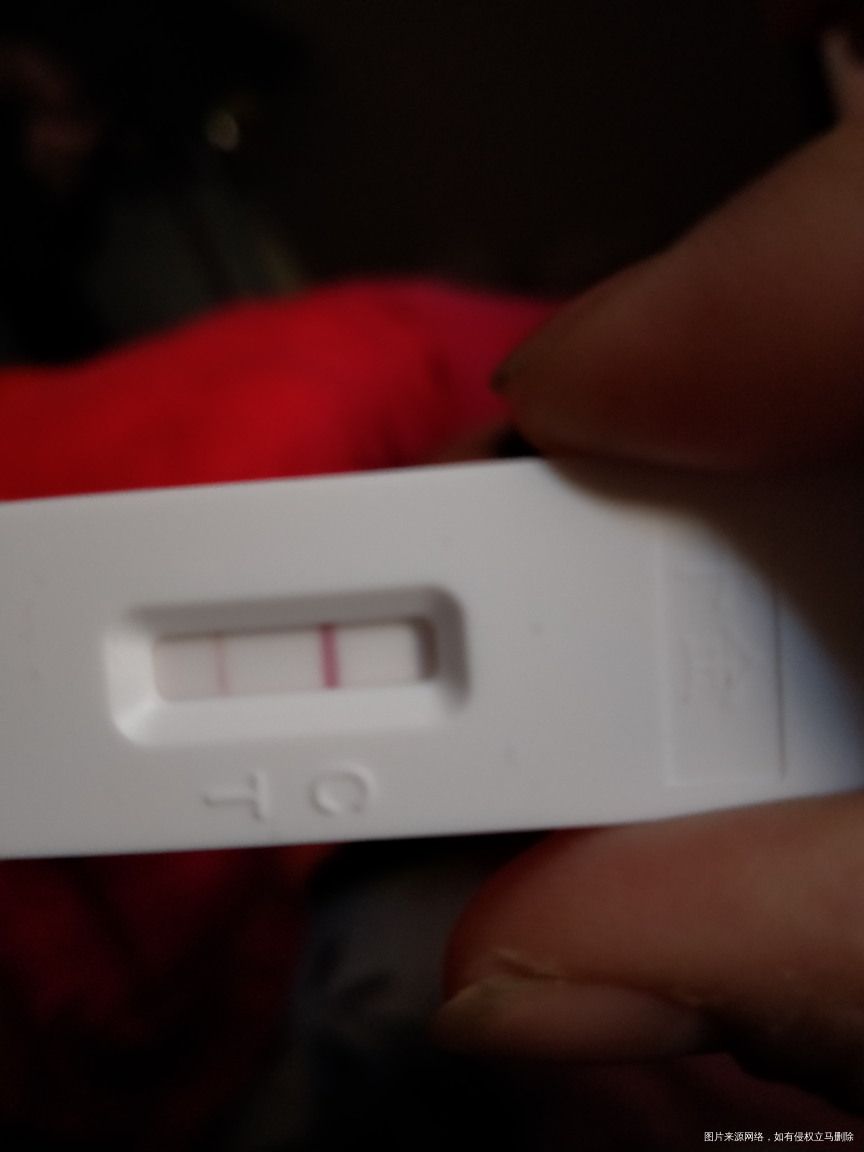 我怀啦 | 我怀上了?好惊讶啊 才刚开始备孕