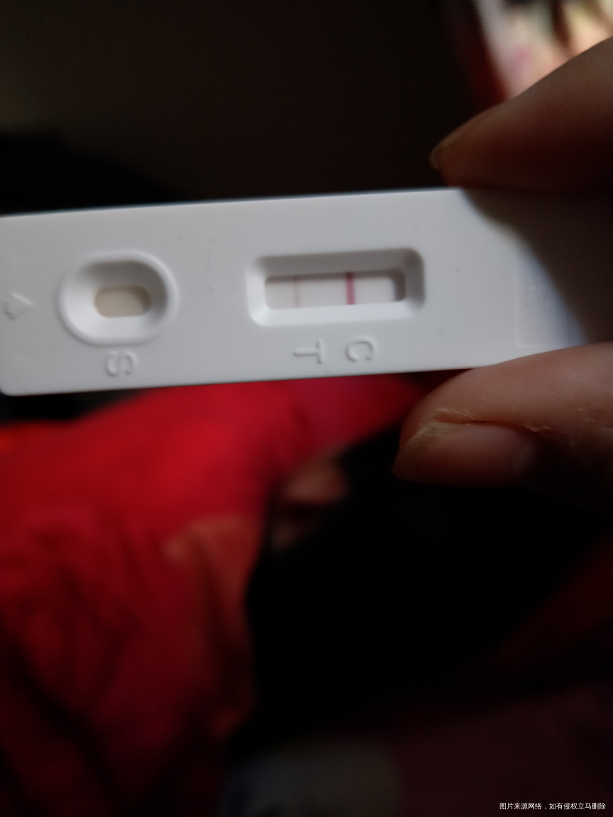 我怀啦 | 我怀上了?好惊讶啊 才刚开始备孕