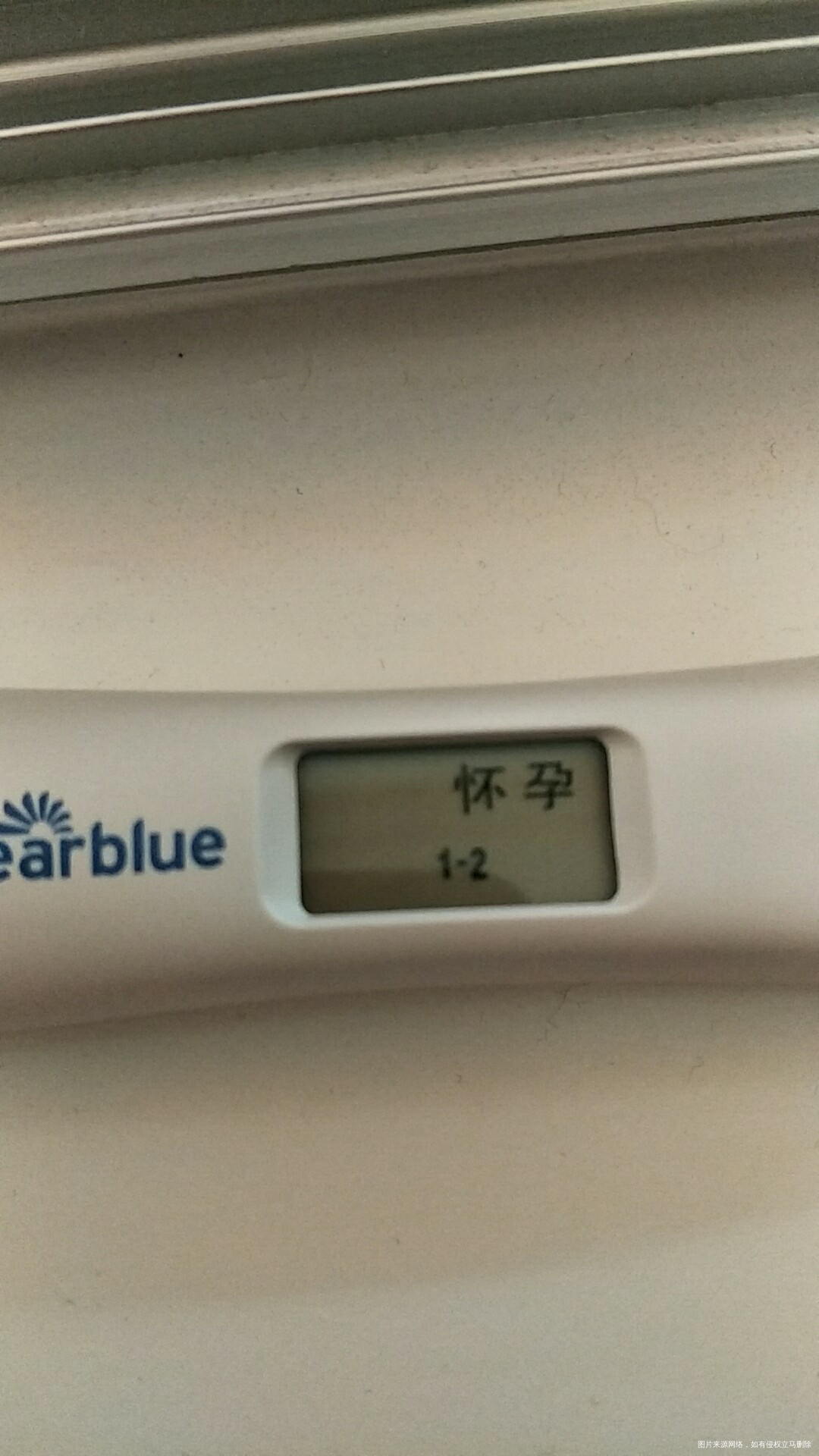 28号移植的,早上没附图。现在补上