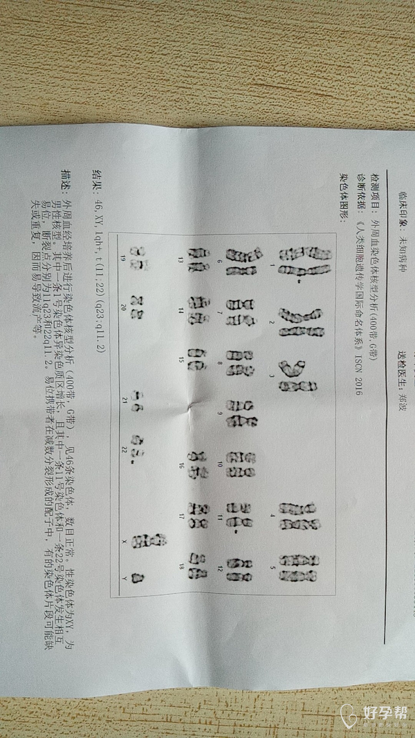 老公染色体异常,还能不能做试管