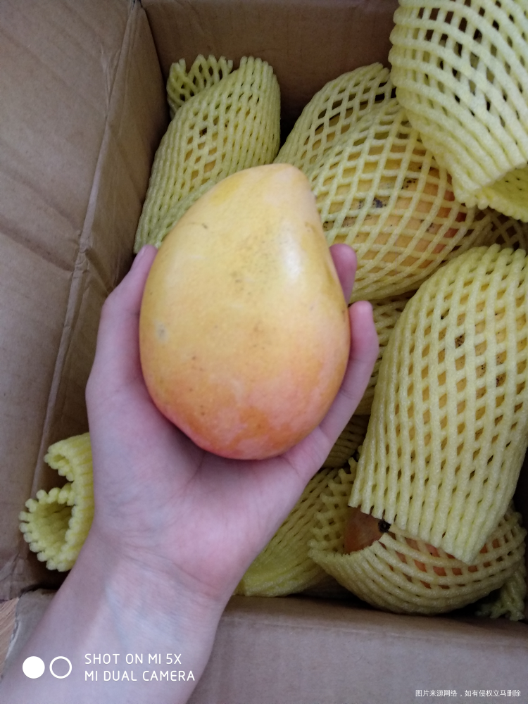 给你看看我网购买的芒果