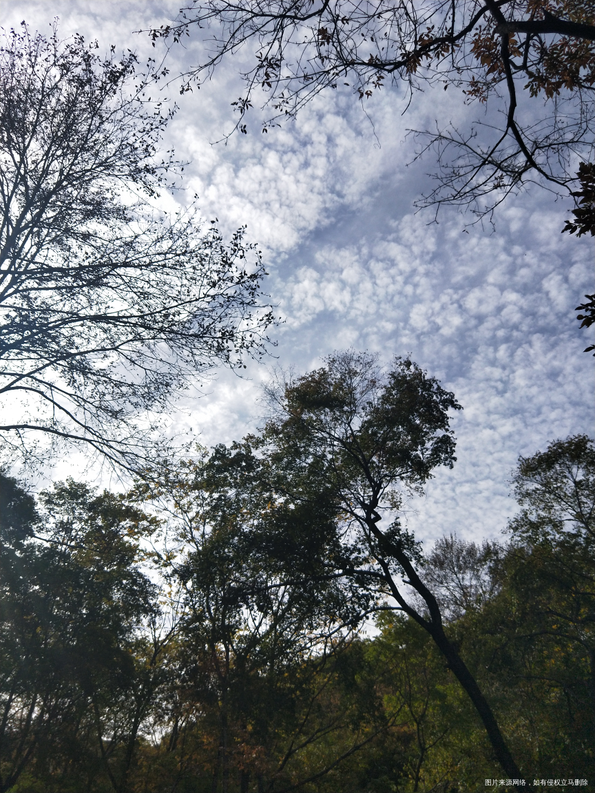 【试管经历】怎样才能养出健康的卵子