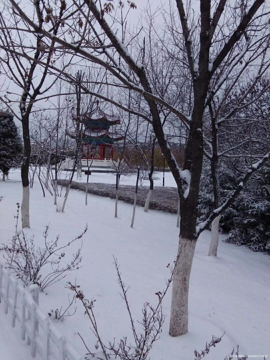 家里面下雪了,朋友圈都刷屏了