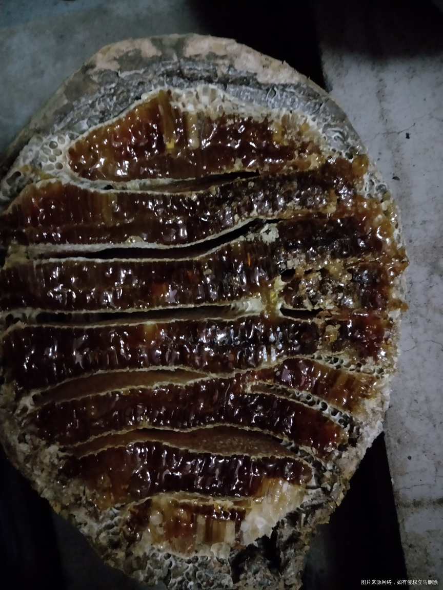 姐妹们能猜到这是什么么