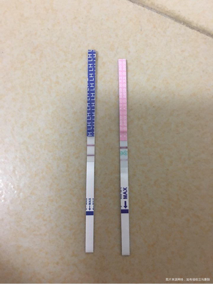 两种不同的排卵试纸,结果不一样。