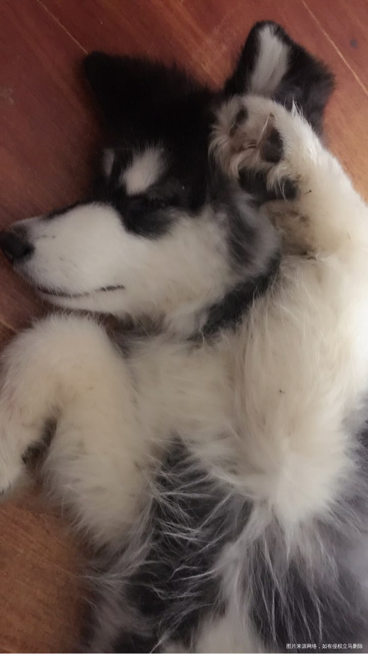 16岁开始我养成了一个好习惯