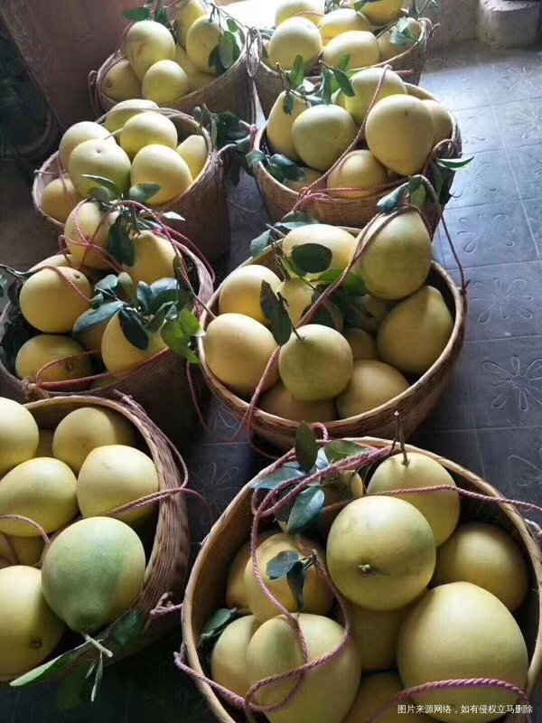 香喷喷的,害的我老在咽口水