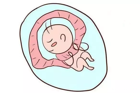 怀孕后，如果不想让宝宝的脐带绕颈的话，孕妈要改掉几个坏习惯。