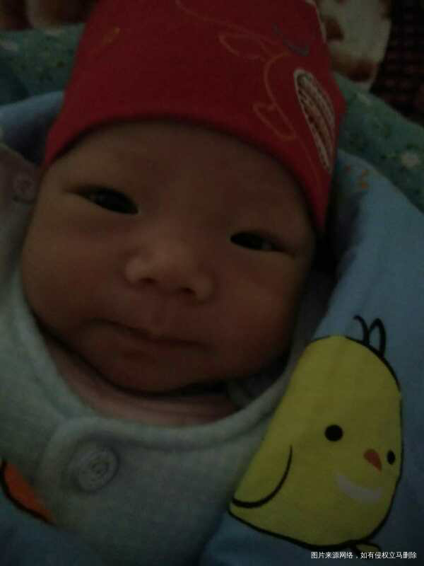 不得不说遗传基因的强大