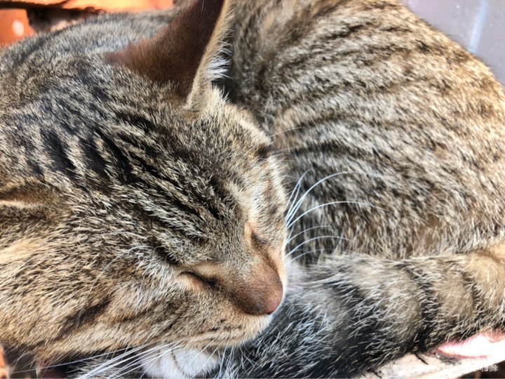 请问大家一下我睡觉老是会翻身这样对宝宝生长有影响吗?