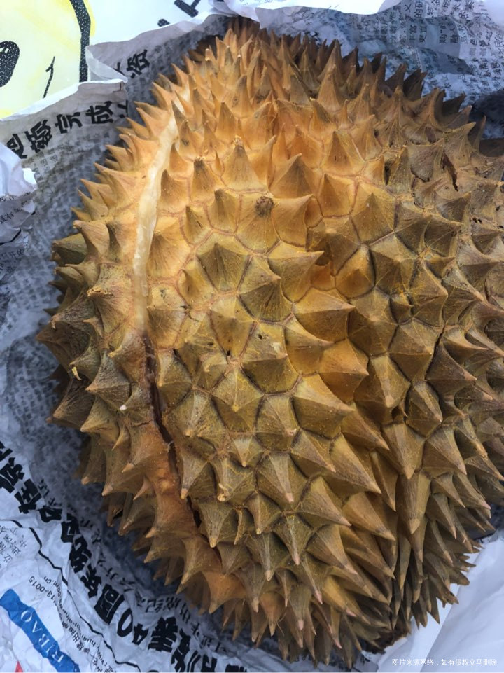 买个大榴莲庆祝一下,今天超开心。