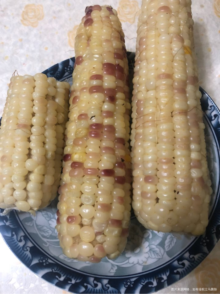 这两天吃了不少粗粮,还是爱吃玉米。