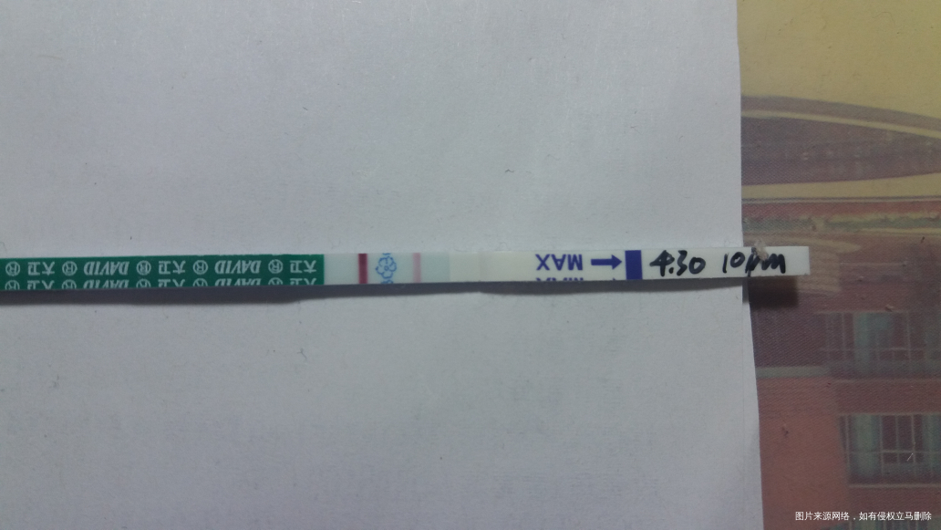 怎么还没有中队长啊急死人了!!?