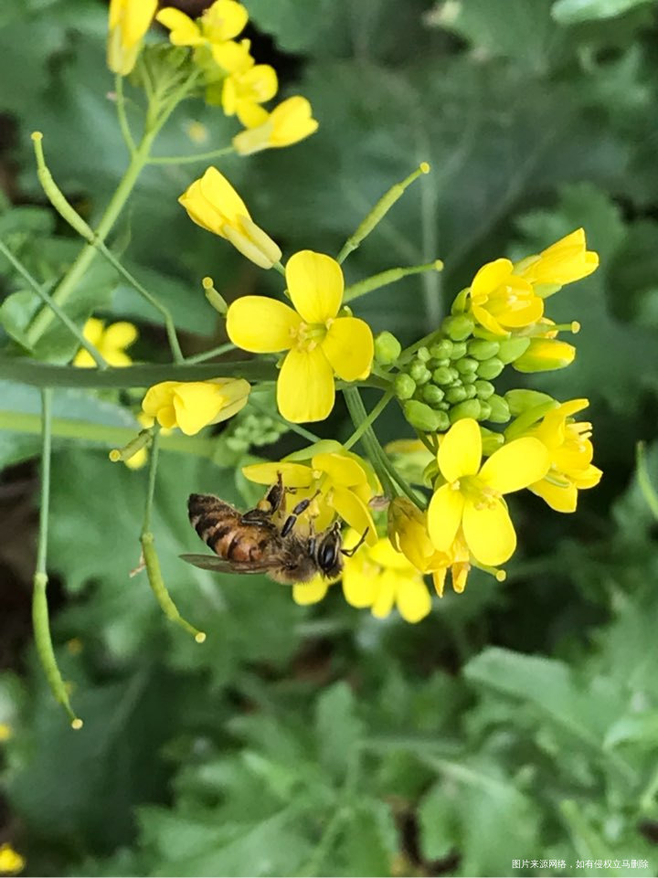 刚才胃里烧心烧醒了,其实晚饭做的挺平淡