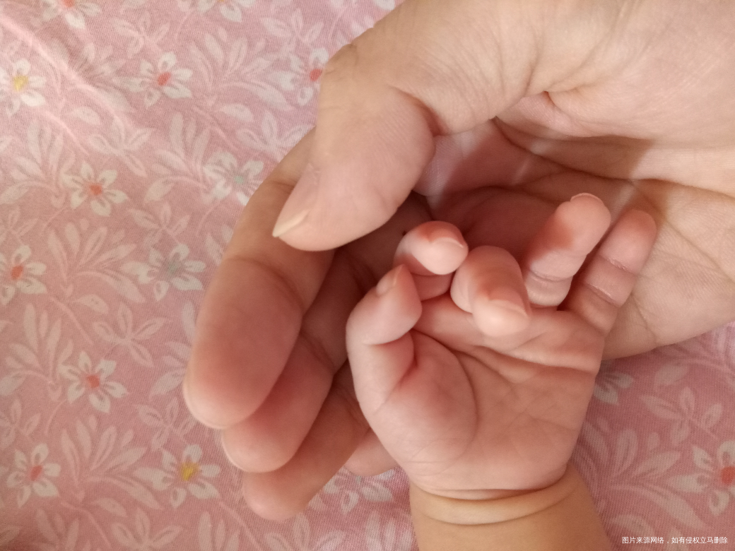 【亲爱的宝贝】俺们家的无价之宝