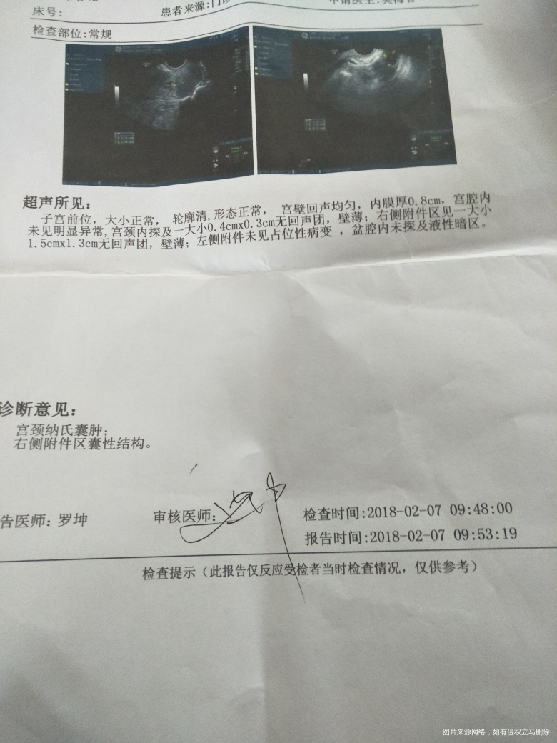 有在线医生吗?帮我看看卵泡发育和内膜怎么样?