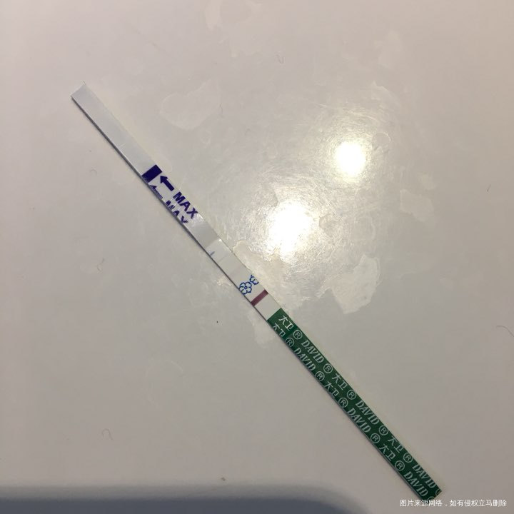 17号移植今天第九天